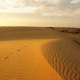 Coucher de soleil - Désert du Thar