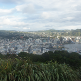 2. Vue sur Wellington de jour